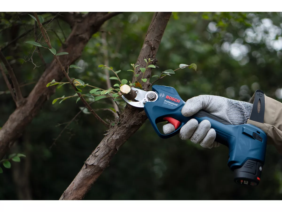 sécateur sans fil GGP 12V-25 solo BOSCH